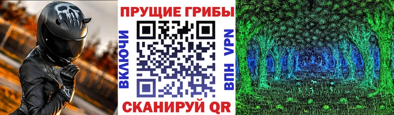 Галлюциногенные грибы мицелий  где купить наркотик  Балей 